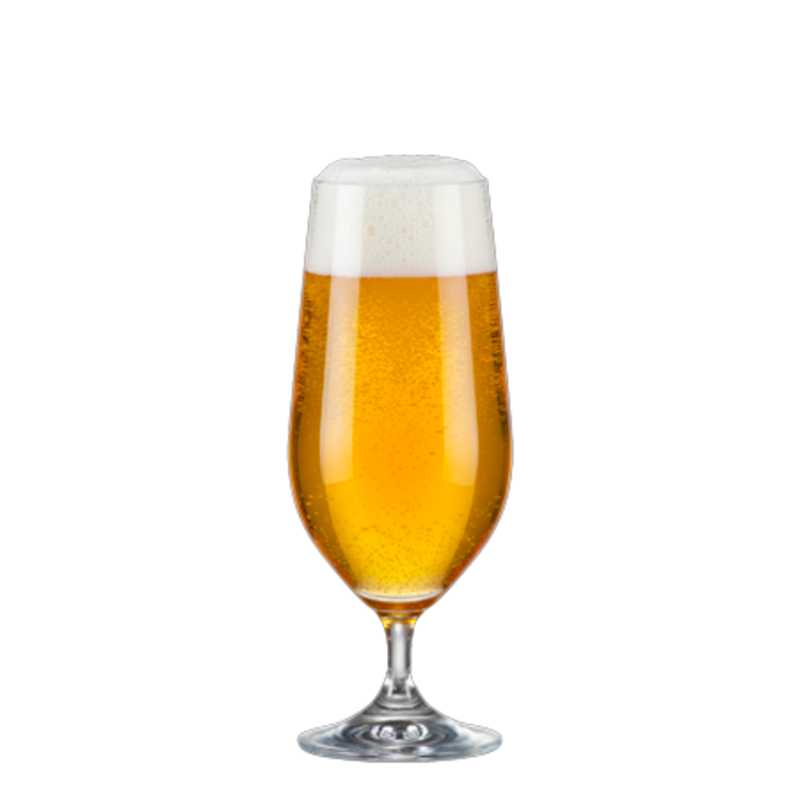 Kassel All Purpose Beer - imagen 2
